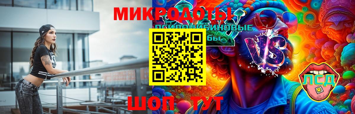 Галлюциногенные грибы мухоморы Будённовск