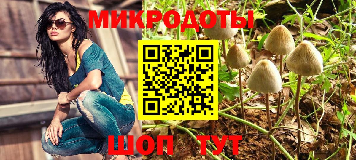 Псилоцибиновые грибы прущие грибы  Вход с VPN  Псилоцибиновые грибы мицелий  Будённовск 