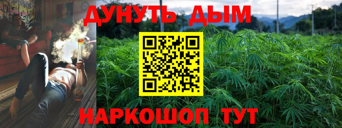 Шишки марихуана индика Будённовск
